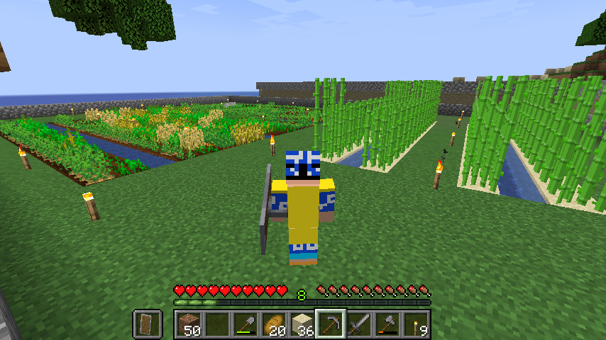 はせピンのバニラのマイクラ日記 畑とブランチマイニング はせピンのマイクラ日記