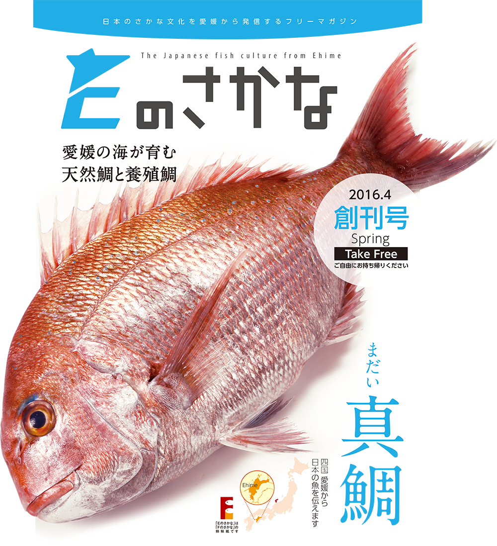 愛媛県の魚文化を発信 Eのさかな 創刊 愛媛 フリペ通信