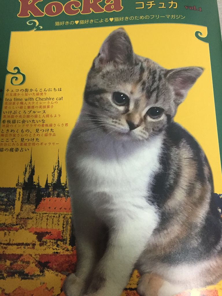 フリペ図鑑 No 31 Kocka コチュカ フリペ通信