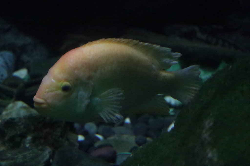 犬吠埼マリンパーク閉館 2 日常のかたち