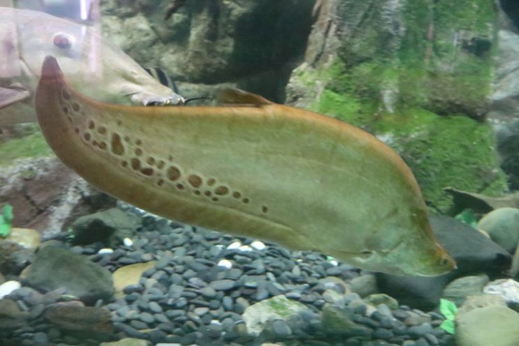 犬吠埼マリンパーク閉館 2 日常のかたち