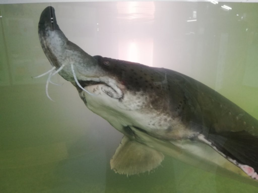 ぶらり大旅行 北海道 釧路 エコポート水族館 日常のかたち