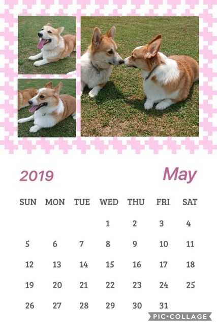 Collage 2019-05-28 01_54_58