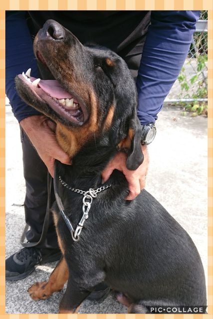 Collage 2019-09-20 01_19_52