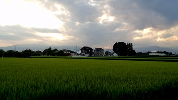 DCIM0776