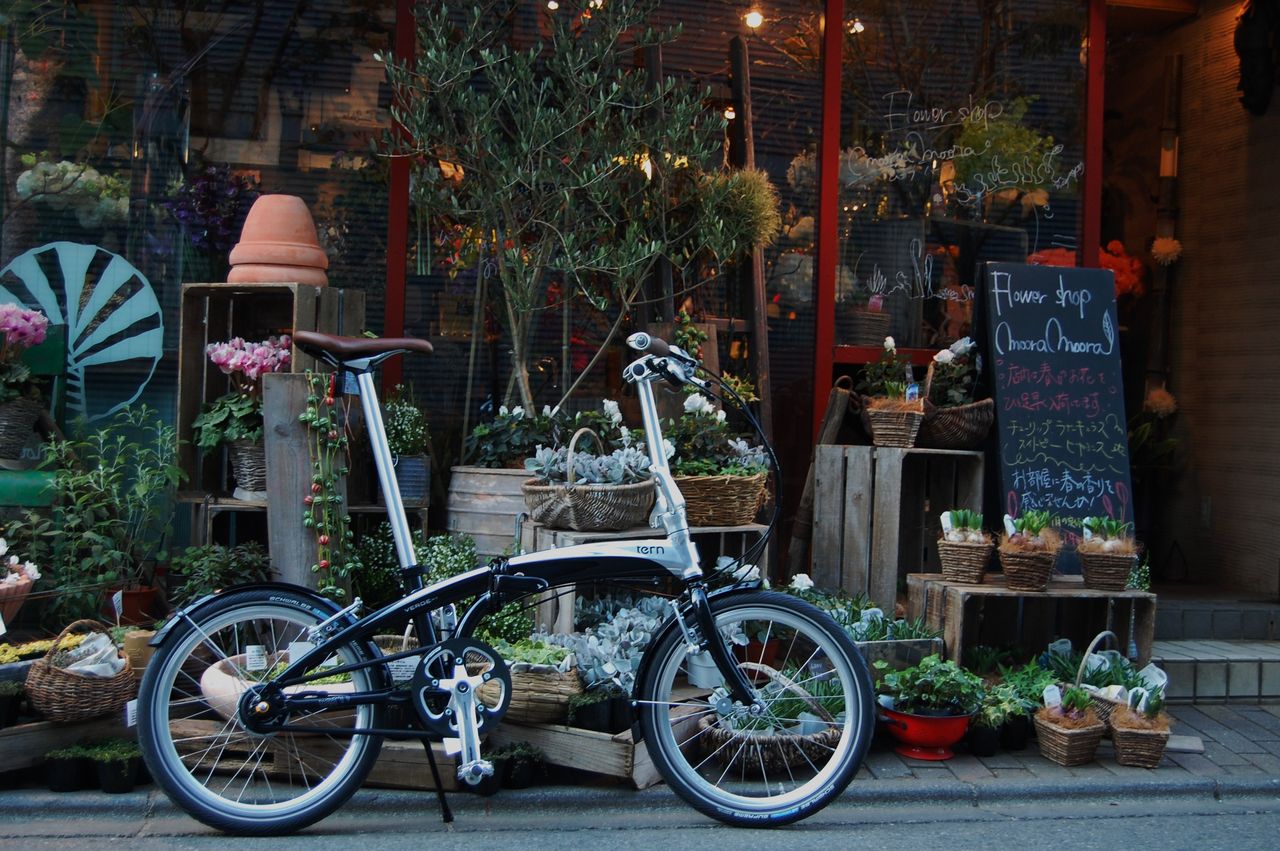 tern VERGE S11i インプレッション : 橋輪