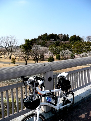 写真03_県道50号線の橋から