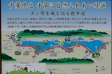 DSC_0288 - コピー (3)