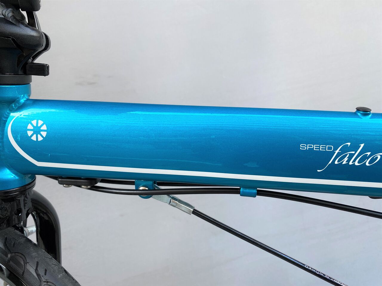 訳アリ SPEED Falco セルリアンラスト1台【橋輪Blog】 : 橋輪