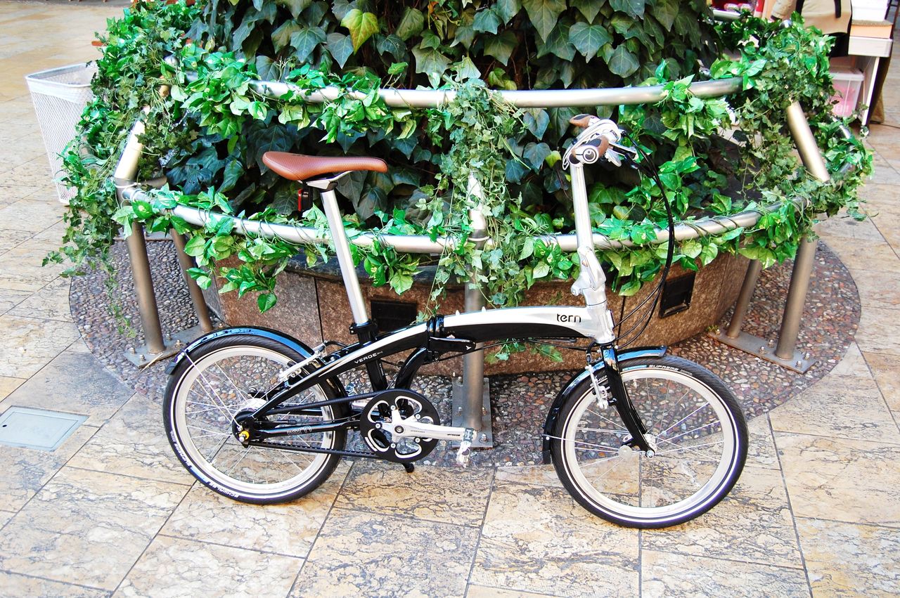 The Samosaurus Chronicles: First impressions: Tern Verge S11i