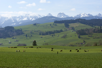 _DSC0594