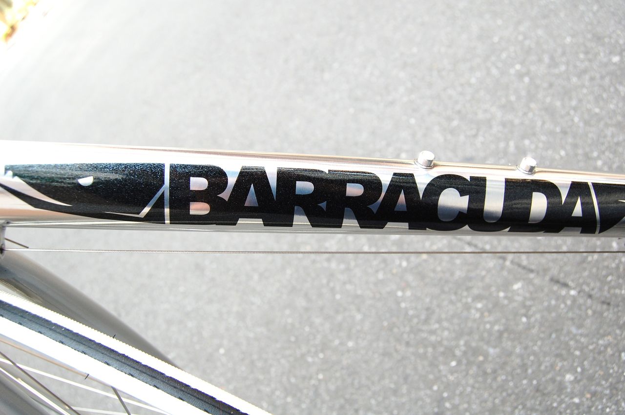 FUJI BARRACUDA : 橋輪