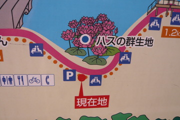 P1010356