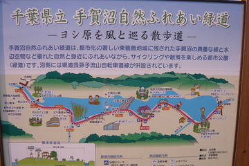 P1010357