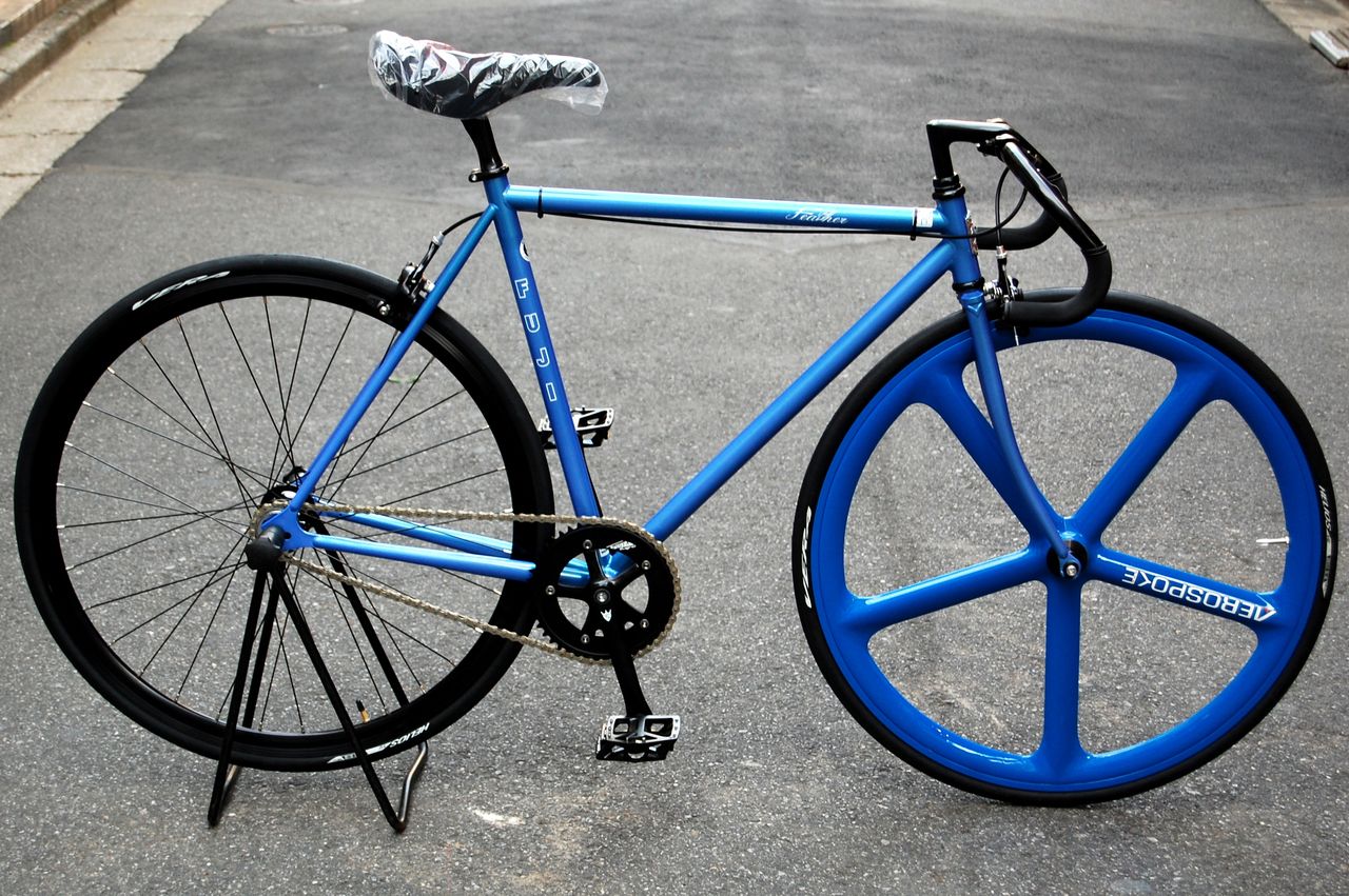 fuji feather 2013