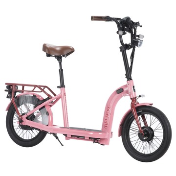 Sakura_Front-800@2x