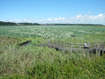 P1010156