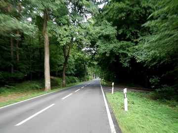 �����ݣ�