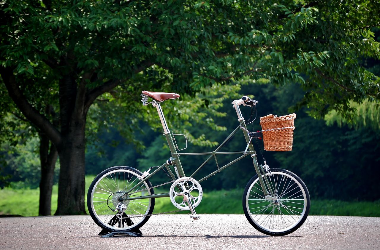the Moulton bicycle モールトン　　青本 the Moulton bicycle モールトン 青本 the Moulton bicycle