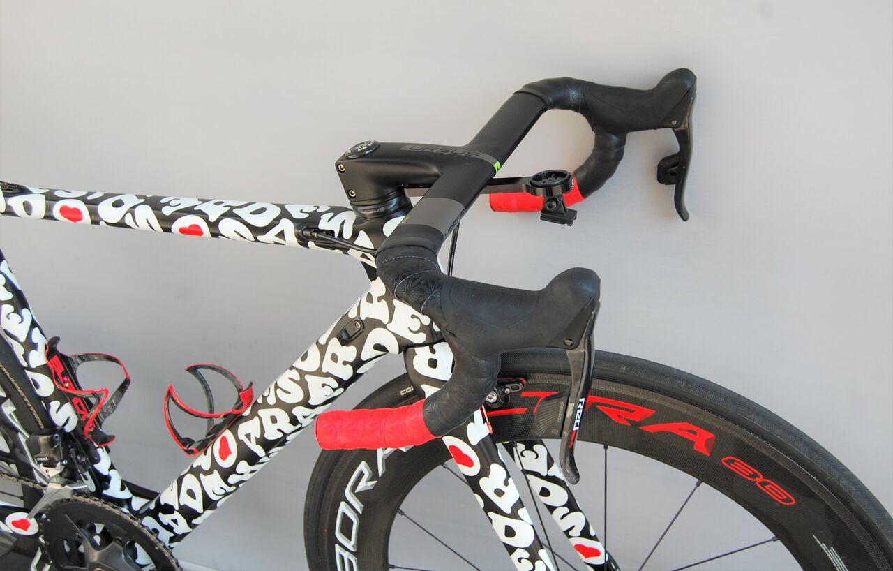 DE ROSA PROTOS Revo（完成編）【橋輪Blog】 : 橋輪