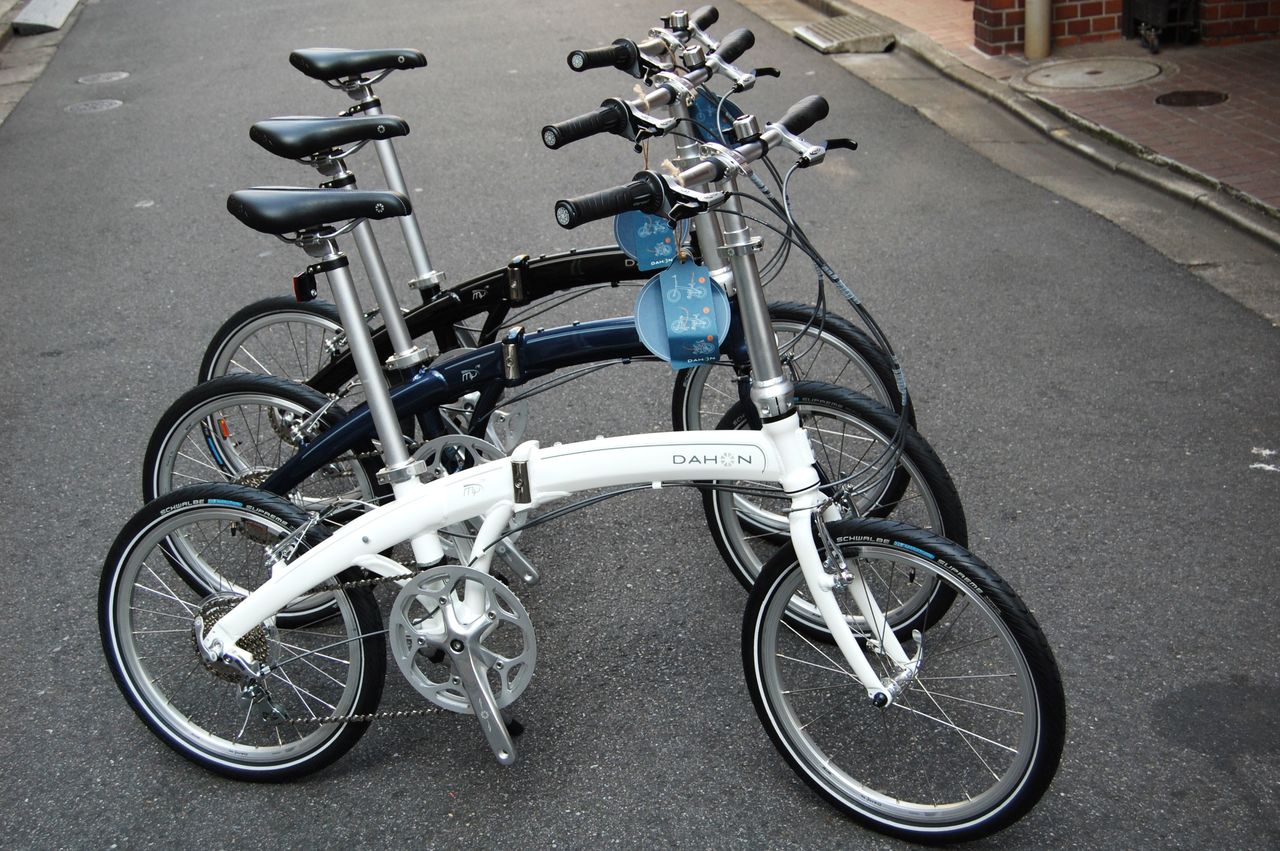 Dahon Mu 8 2025 | www.levitan.com Dahon Mu 8 2025 | www.levitan.com