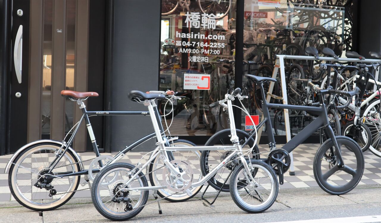 dahon tern