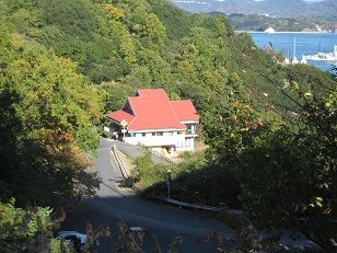 IMG_ª