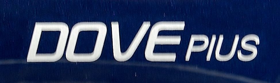 DAHON Dove Plus に新色登場! 【橋輪Blog】 : 橋輪 DAHON Dove Plus に新色登場! 【橋輪Blog】 : 橋輪