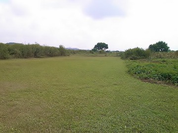 unnamed[1]