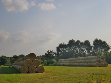 �����ݣ�