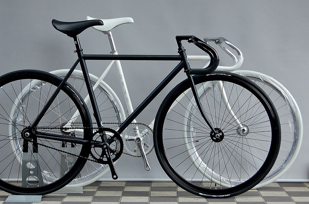 fuji feather 2017