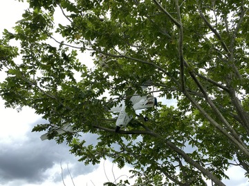 IMG_1167 - ���ԡ�