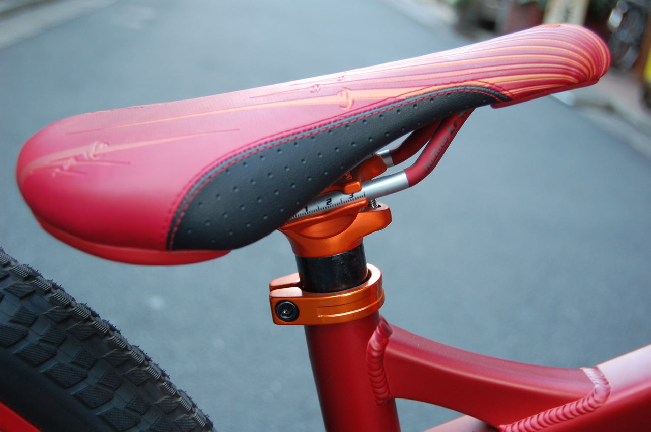 SPECIALIZED P3 : 橋輪