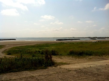 photo (3)