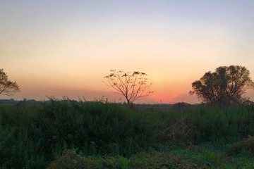 12279178_570338133114319_7673351508821096476_n[1]