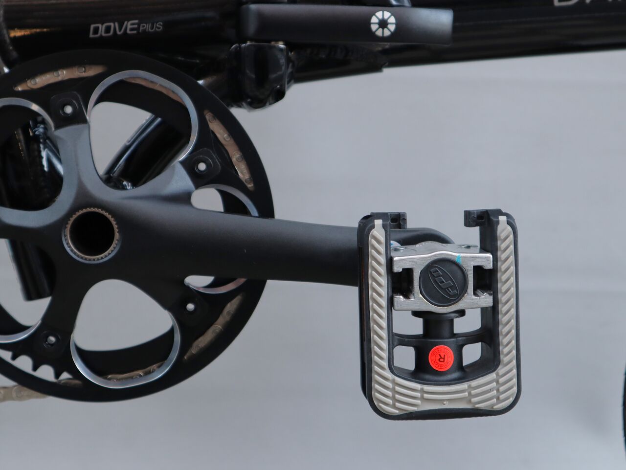 2023 DAHON Dove Plus 限定モデル【橋輪Blog】 : 橋輪
