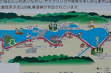 DSC_0288 - コピー (2)