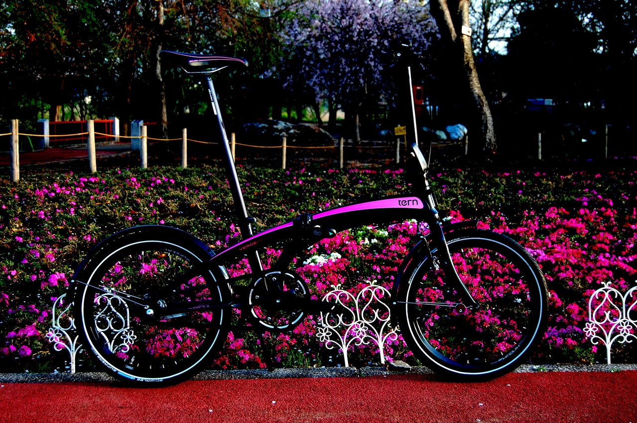 TK tern Verge Duo オートコースタ Tern Verge Duo - movebicycles.net