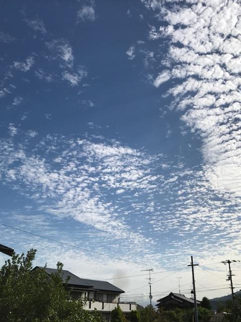 2017-09-03-08-27-48