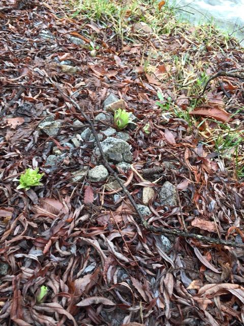 2015-04-11-11-04-01