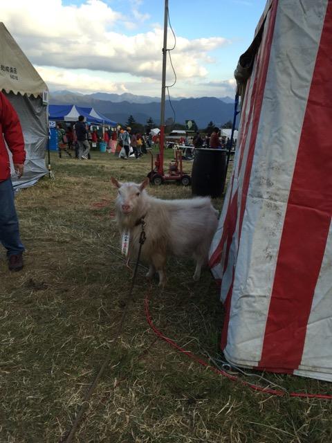 2016-10-16-16-06-42