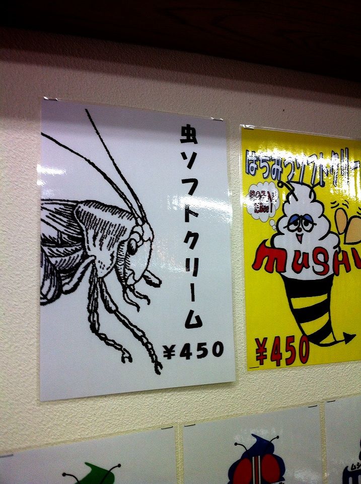 2012-08-06 12:58:08 写真1