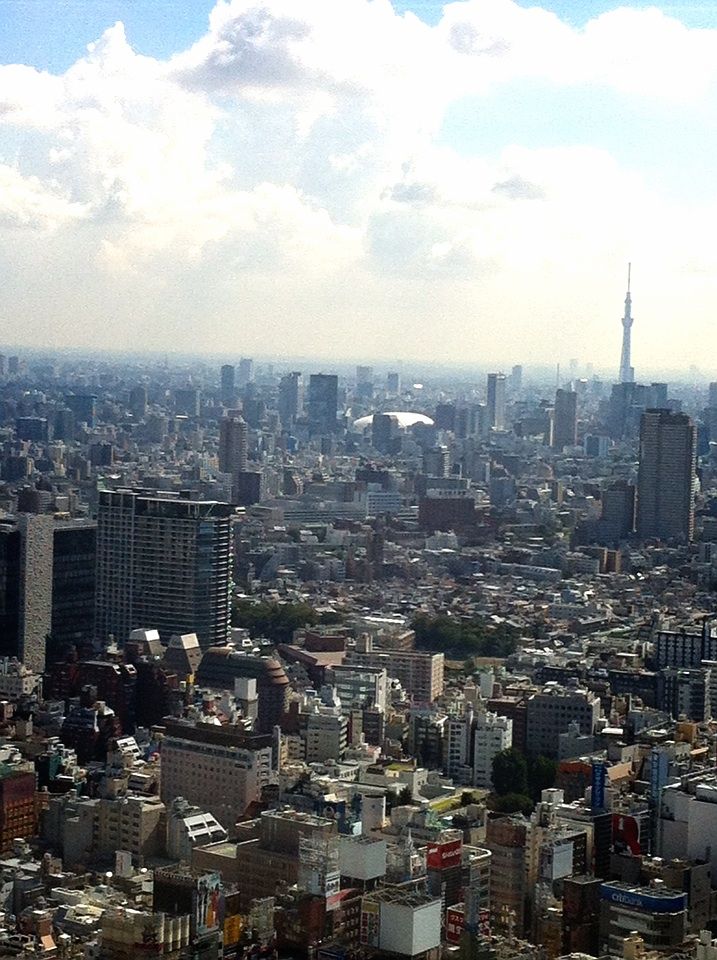 2012-08-27 09:16:06 写真1