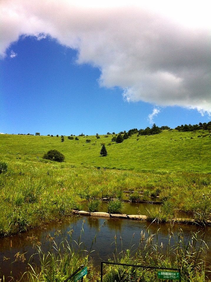2012-08-06 12:57:31 写真1
