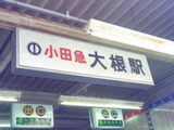 大根駅