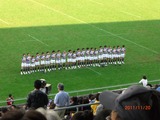 明治大学ラグビー部