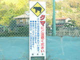 本当でしょうか・・・?!