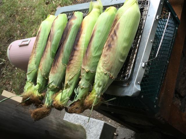 2016-07-30-12-11-04