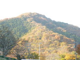 紅葉狩り