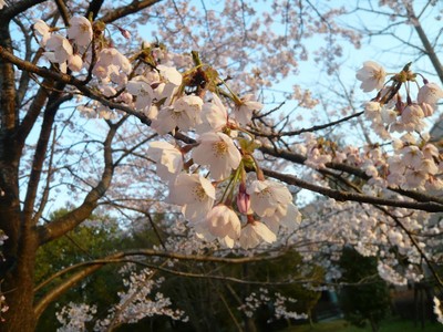 100424〜25八戸仙台33